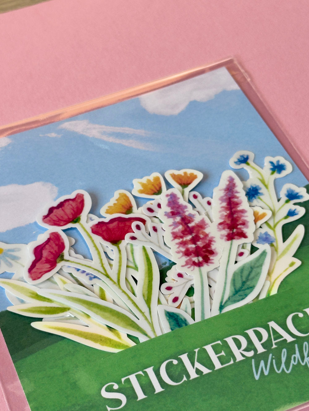 Stickerpack „Rainbow Wildflowers“